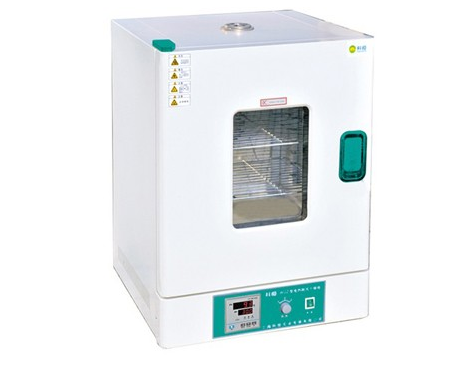 Precision Electric Blast Drying Oven Laboratory Digital Drying Oven